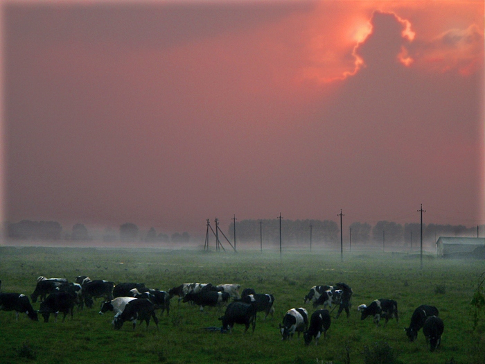 Ländliche Landschaft