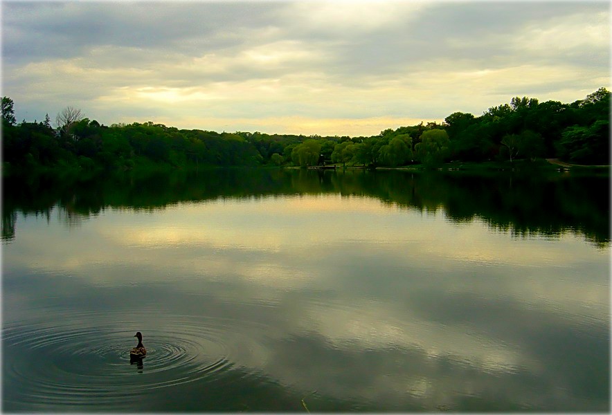 ab prablemah Poshuk PP