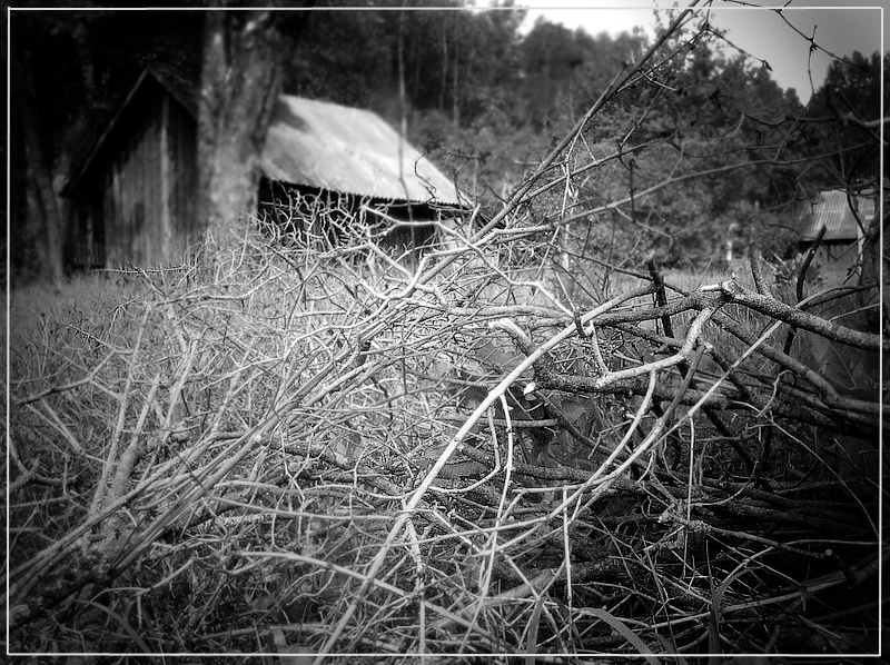 Verasen - nicht Persha prykmeta ...