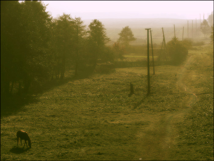 Eines Morgens im Oktober