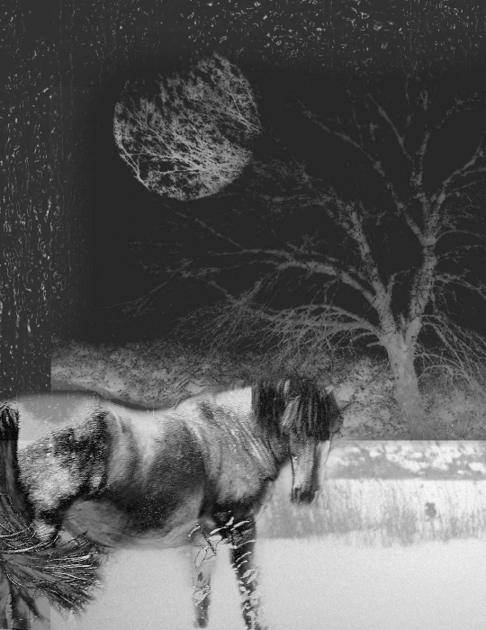 Verzweiflung wird nie aufholen ...