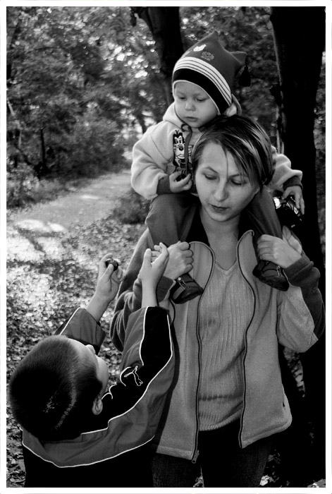 Allerdings verstehen wir die Welt in der wir