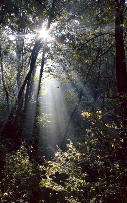 Letzte warmen Strahlen