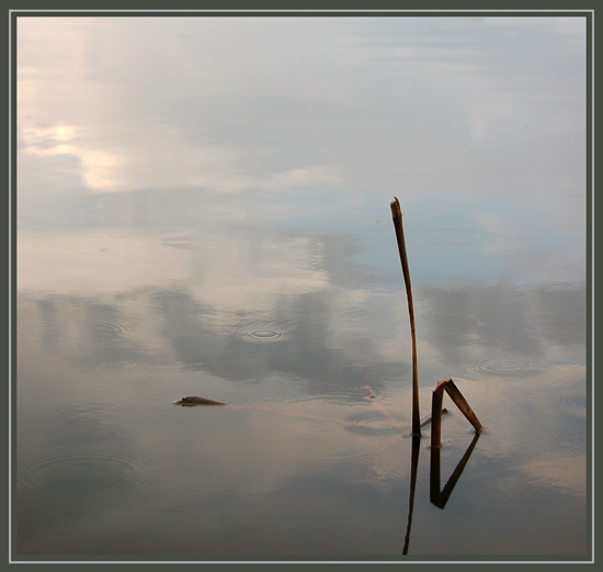Zen ist Schweigen ...