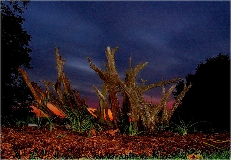 Wer sagt, die Erde war tot für immer? ..