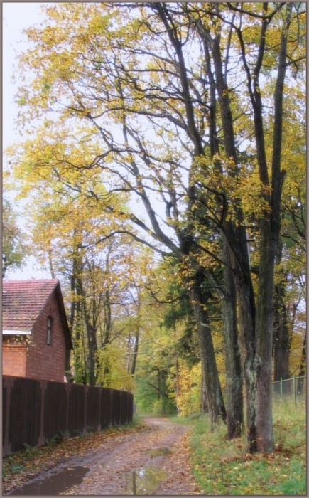 "Sad ist es Zeit, den Charme der Augen ..."