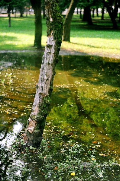 zwei Lieblings-Dinge