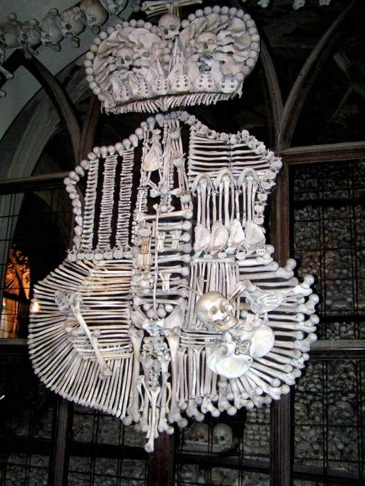 Alle menschlichen Skeletts