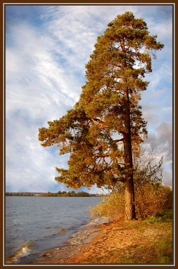 Sonniger Tag. Einsamkeit