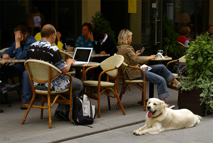 Menschen, Hunde und High-Tech-