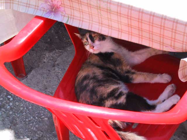 Am Morgen nach der Party 3 ... Che brauchen?