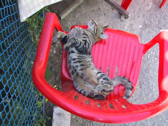 Am Morgen nach der Party 2 ... Horrrrroshshshooooo!