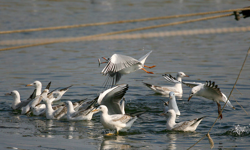 Bergbau wird nicht weggehen