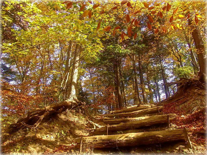 Nimmt fallen alle in die Arme ..