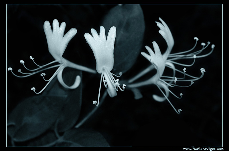 Alle, alle, alle ...