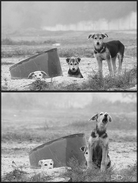 Children of the Underground ...