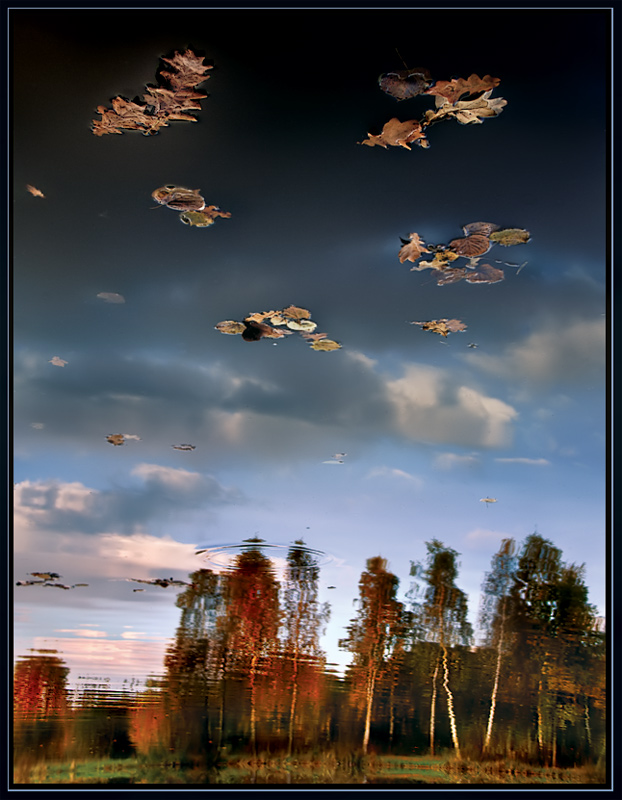 Herbst Etüde. Reflexionen