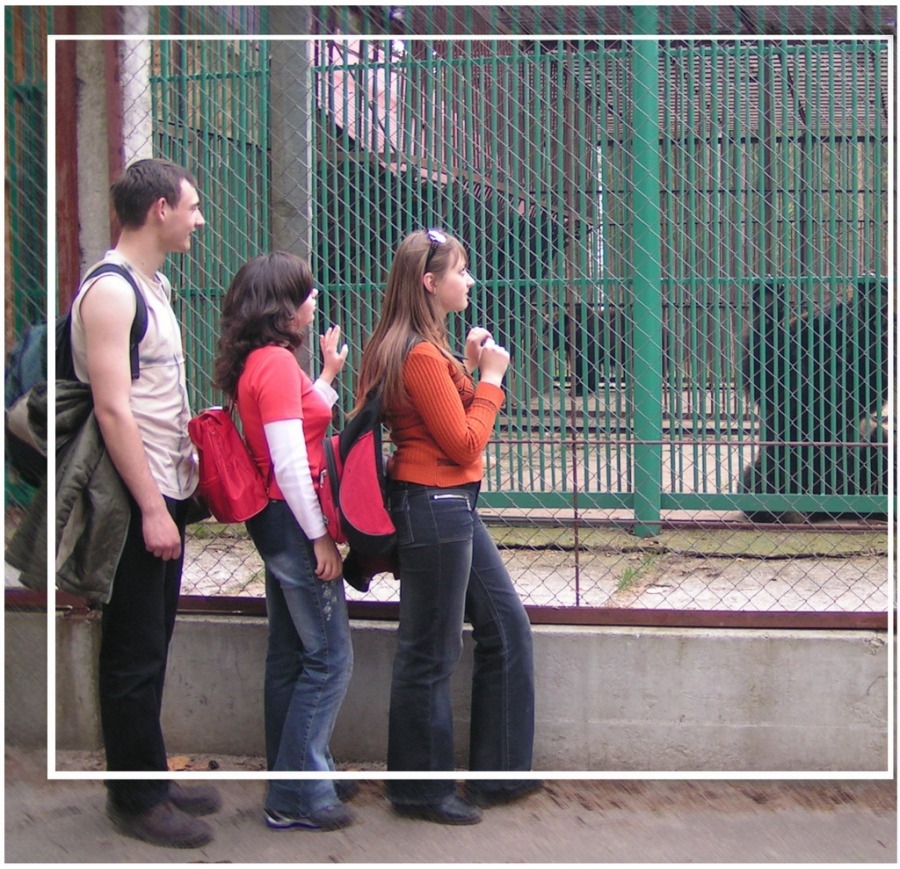 Hallo! Nein, ich habe nicht "Bär"!