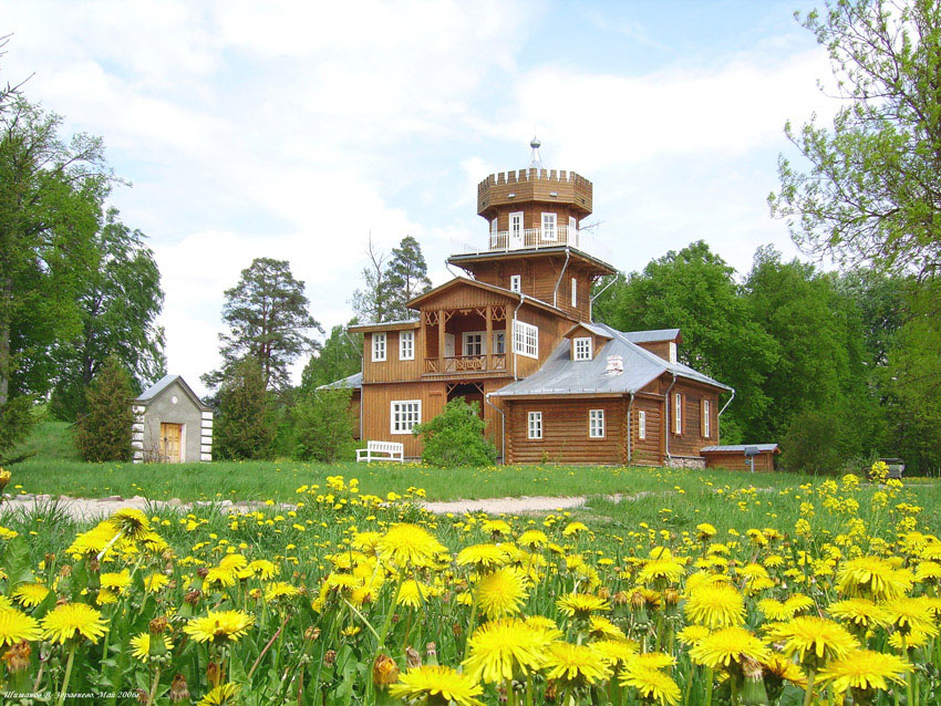 Zdravnevo.Oduvanchiki