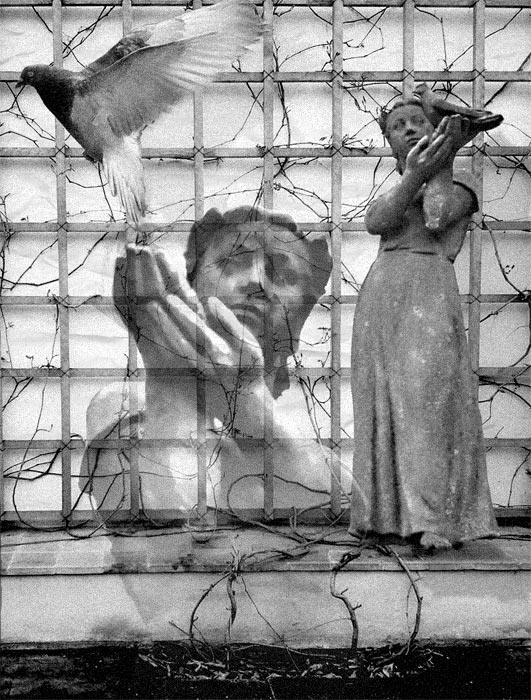 . Svobodna.ptitsa Welt