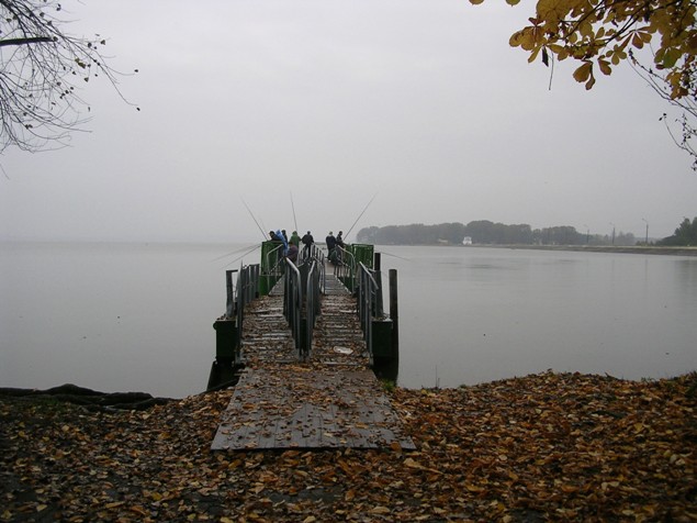 Stille. Angeln Solidarität.