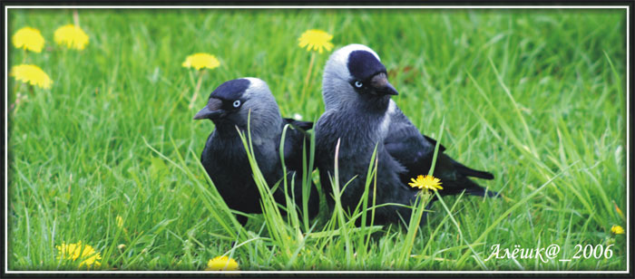 Wenn das Baby weiter ...