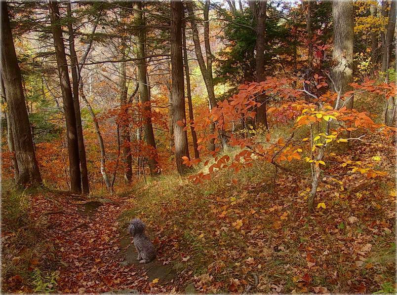 es - Herbst ..ein ihr - Winter ...