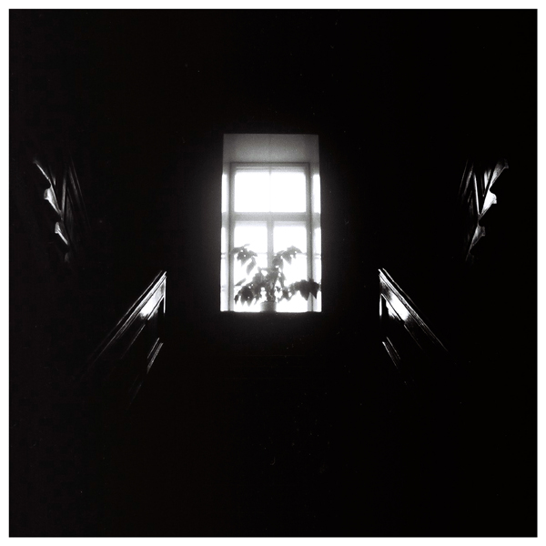 "Von einem parallelen Universum ..."