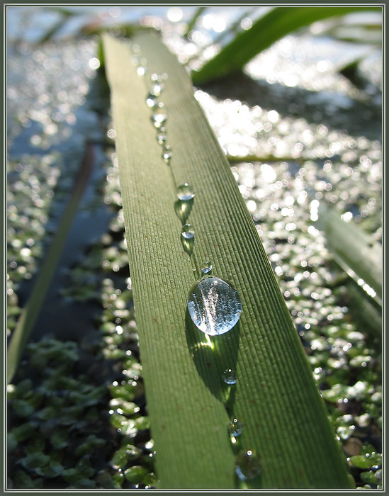 Auf einem grünen Autobahn