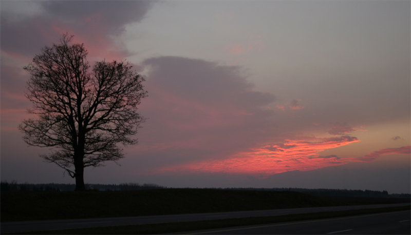 Torn Sonnenuntergang