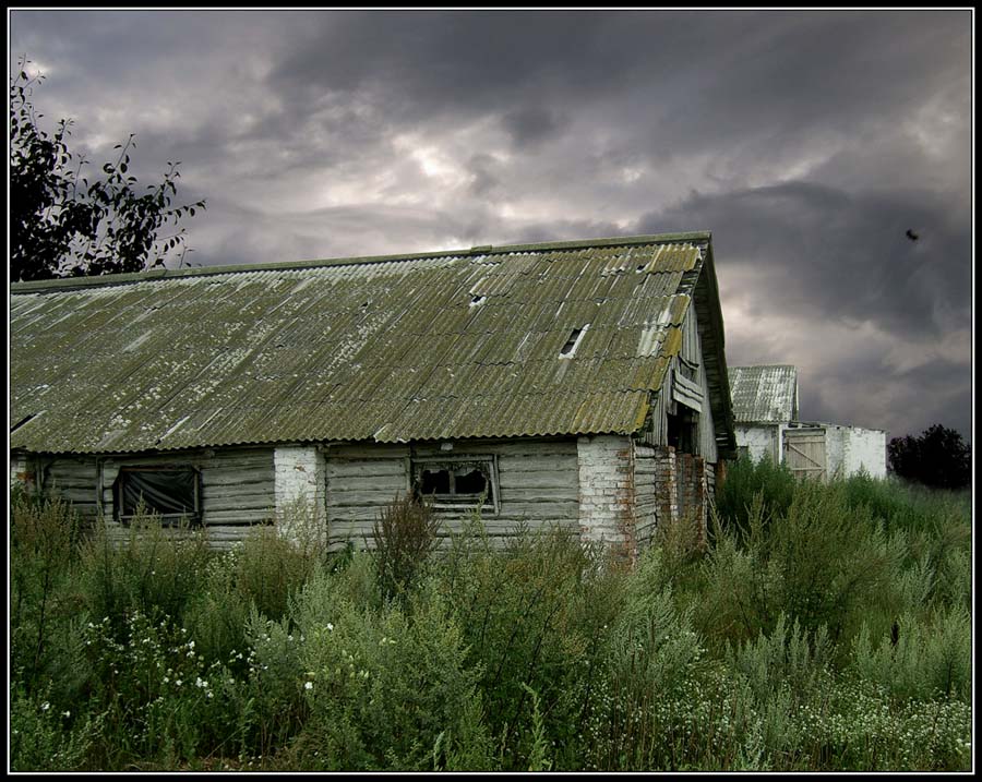 Live, ohne eine Uhr, keine Zeitungen und keine Bücher.