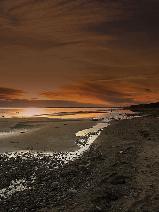 Wo war Moonwalker Rakovich