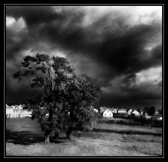 ... Auf der Suche nach schwarzen ...