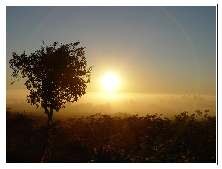 Rainbowman heal me too...