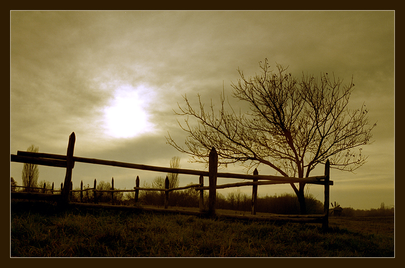 Auf der Herbst 2 ...