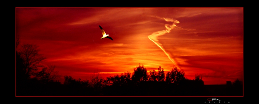 [Paint verlassen Herbst]