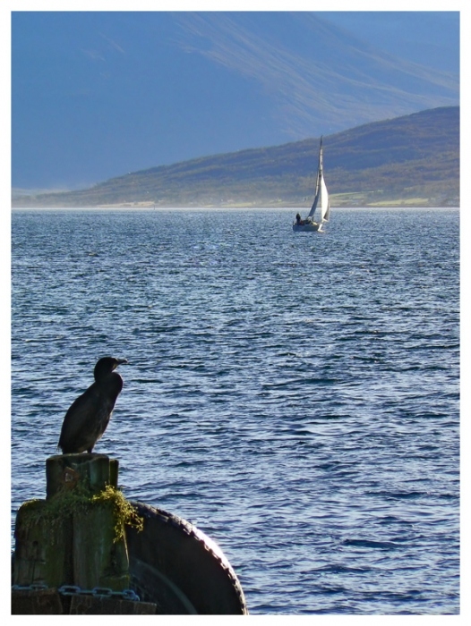 Hausmeister Norwegen