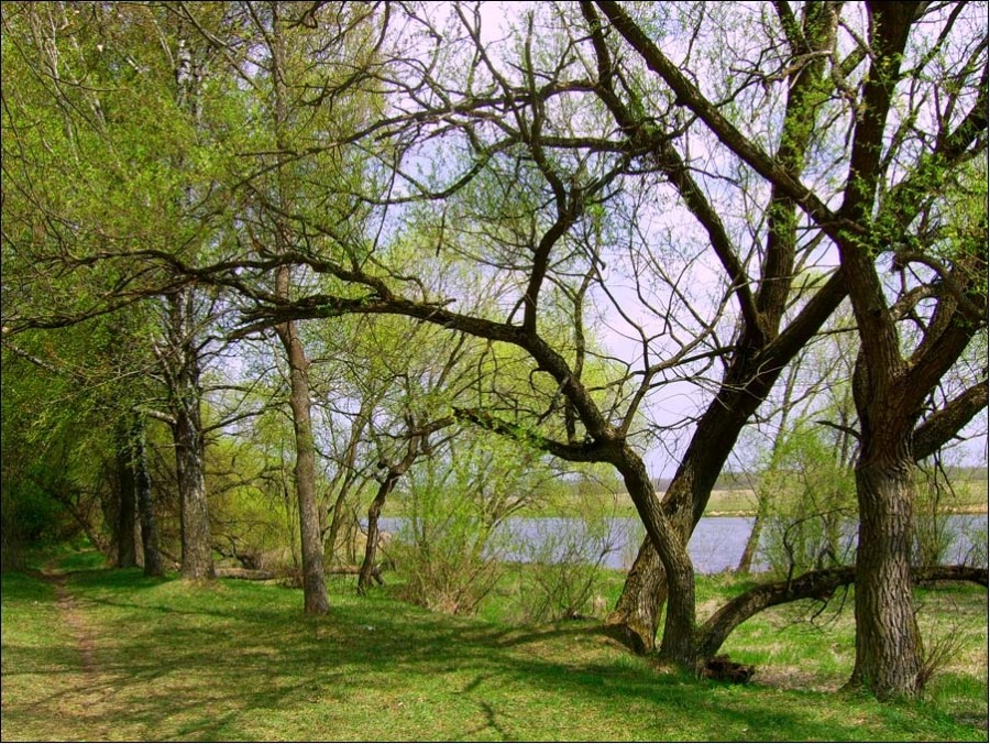 Ordentliche Sommertag.