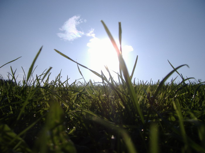 Näher an den Boden ...