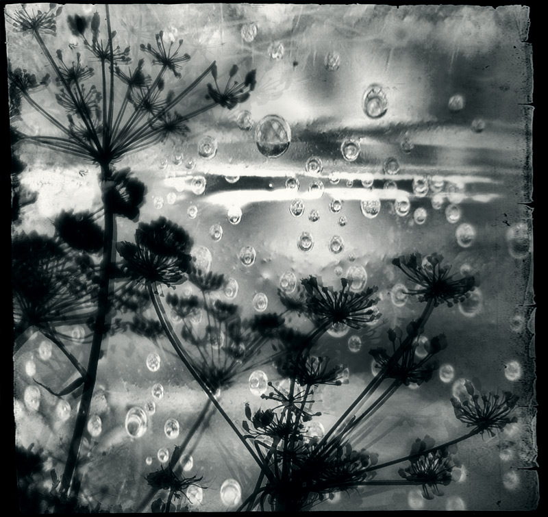 Sea ... sie versprachen uns - das Meer ...