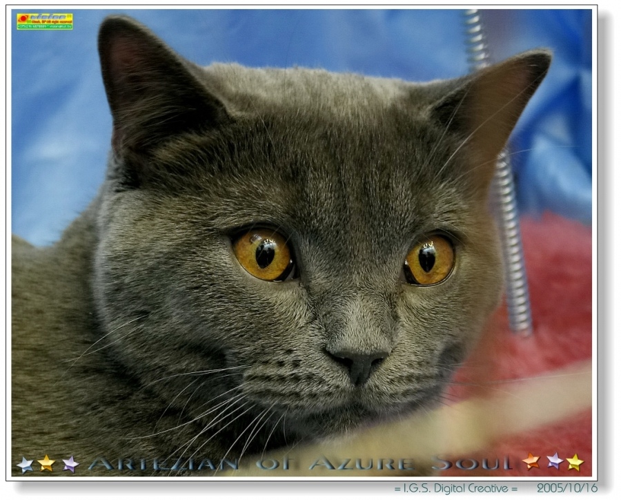 Artezian of Azure Soul