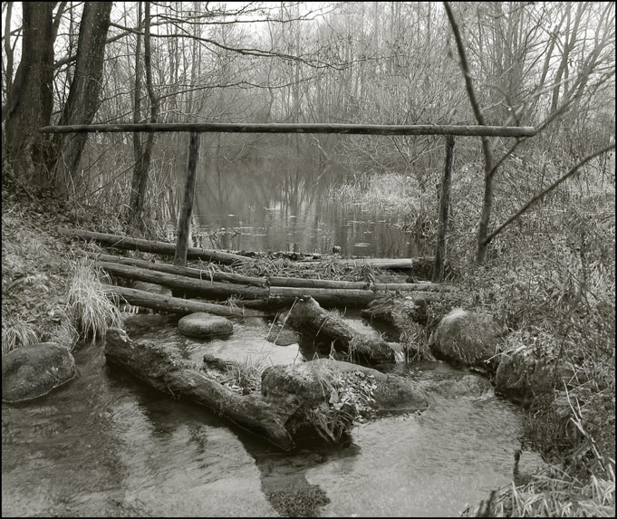 Die Kraft des Lebens.