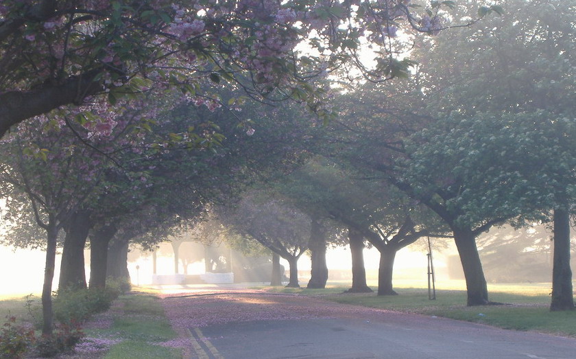 Es war der Frühling ...