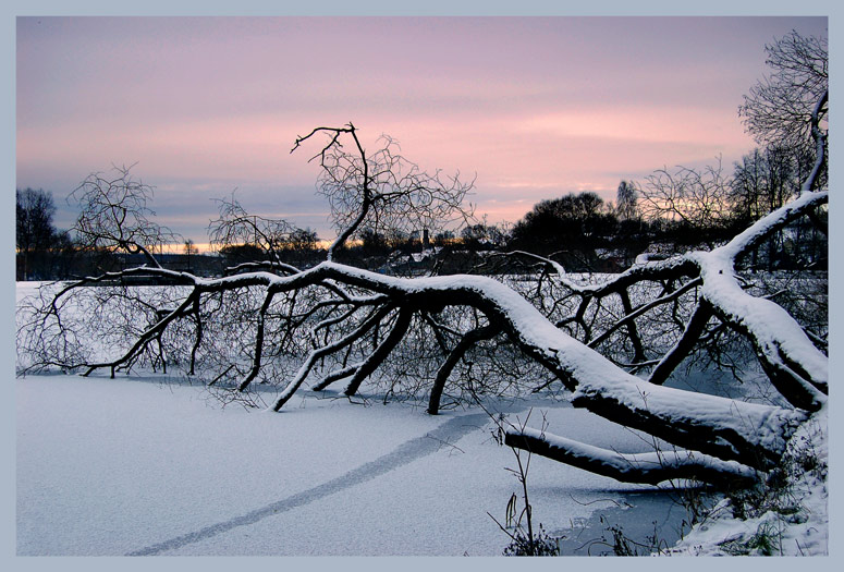 Bent Köpfchen Zänker