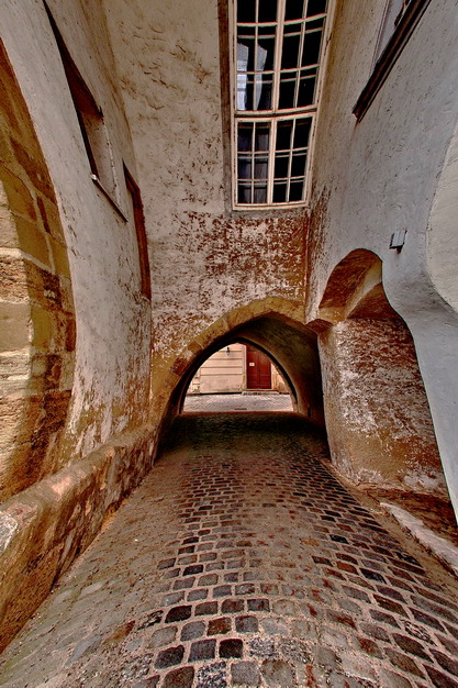 Aus der Perspektive eines fliegenden Bienen