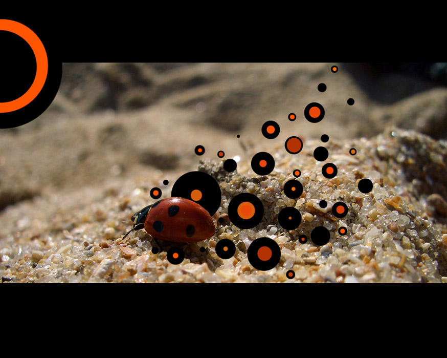 Choto der es darum geht,