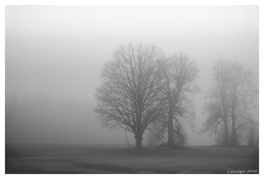 Dort, hinter den Nebeln, die ewige, betrunken ...