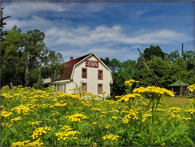 wo muskotskih Kräuter ...