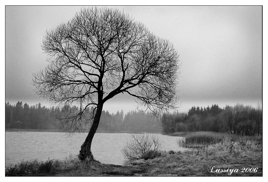 In Erwartung des Schlafes.