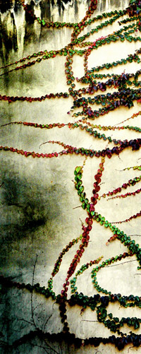 als Farben Welt gerettet aus Schlamm